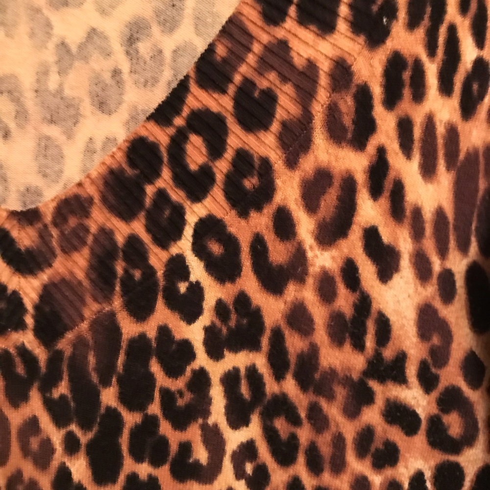 Express-Cheetah Print Sweater - Picture 4 of 5